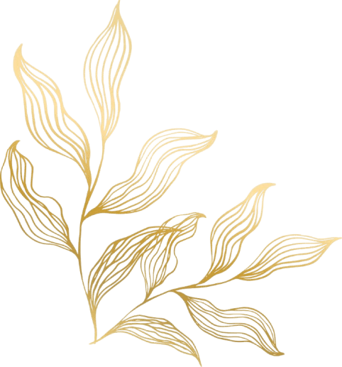 Decorative shape