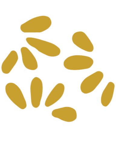 Decorative left illustration