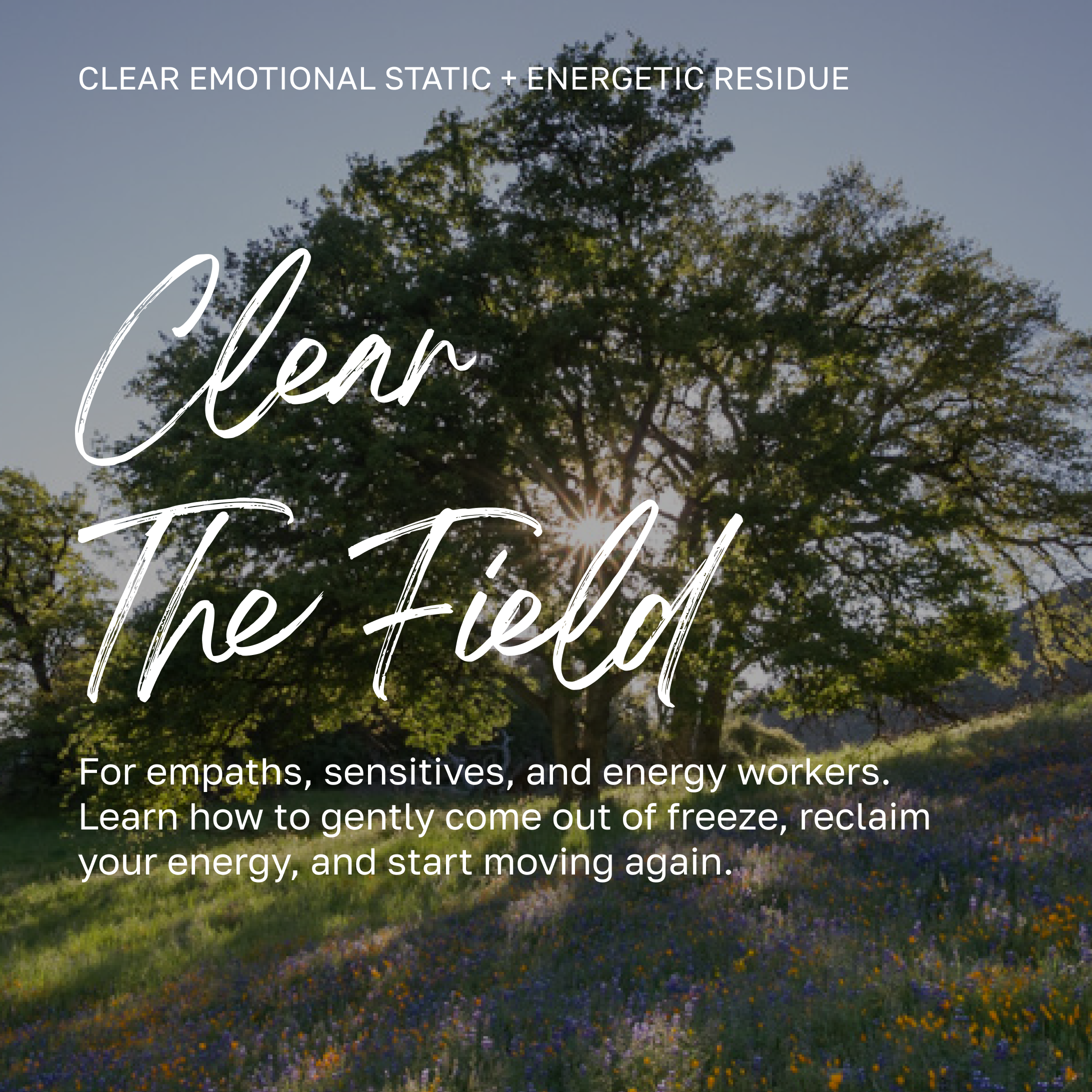 Clear the Field Course