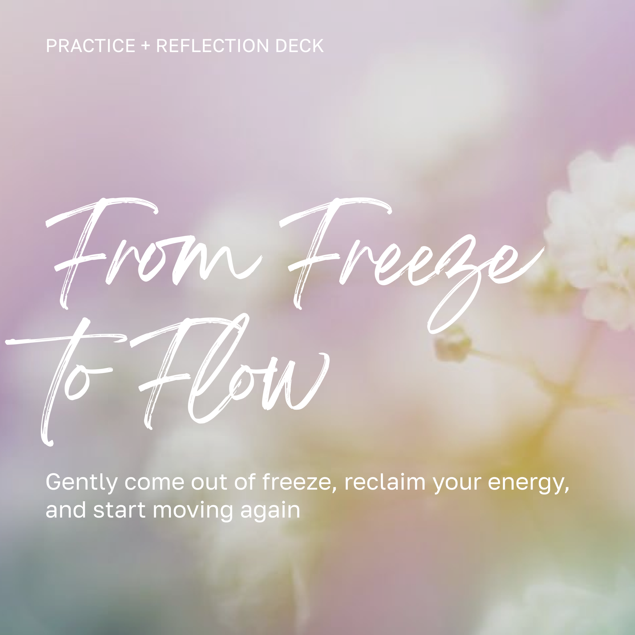 From Freeze to Flow Course